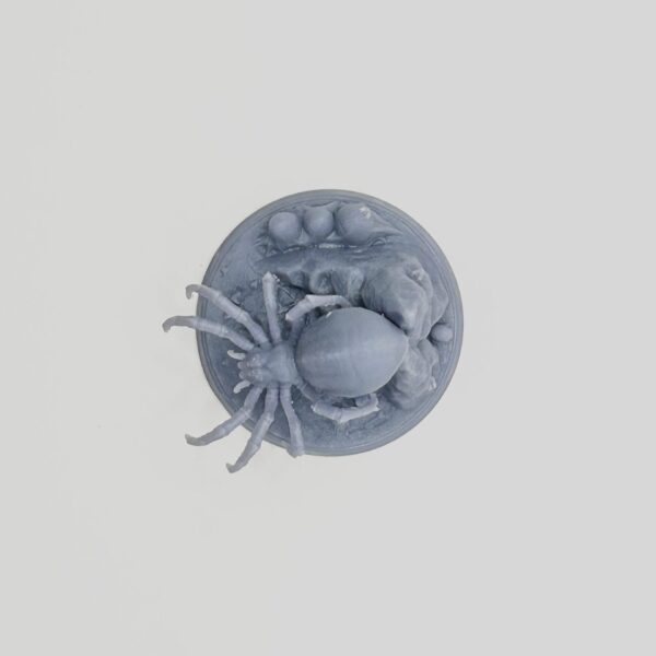 Giant Spider 3D Miniature Collective Studio - Image 4